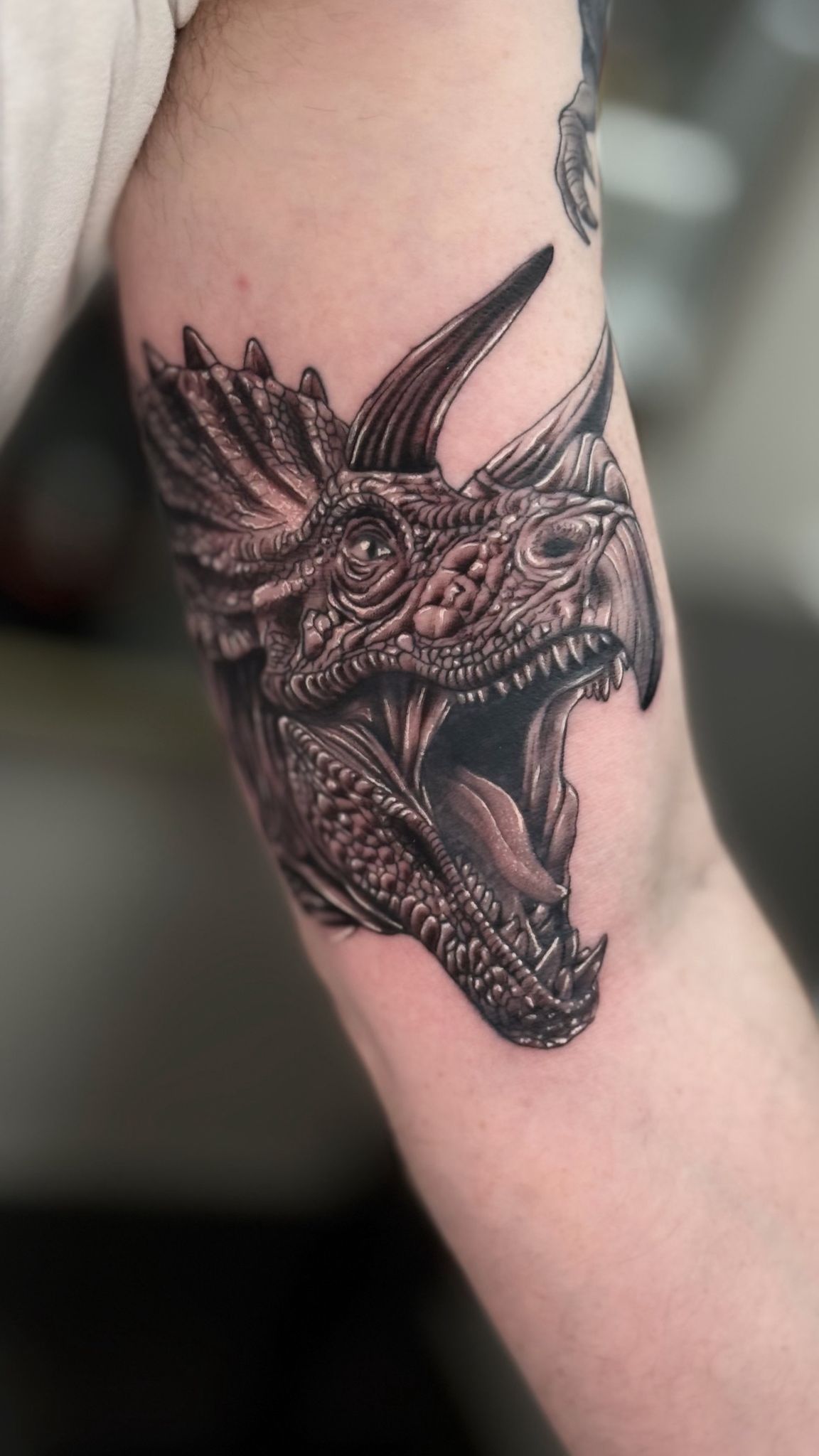 Black Sheep Tattoo Work